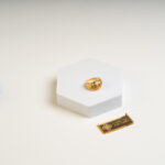 دبلة السعفة